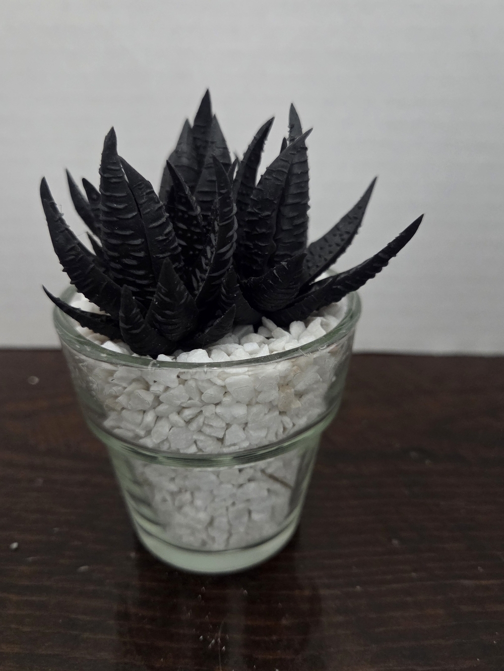 NWT Faux Succulent in Glass Planter With Faux White Rock - At Home